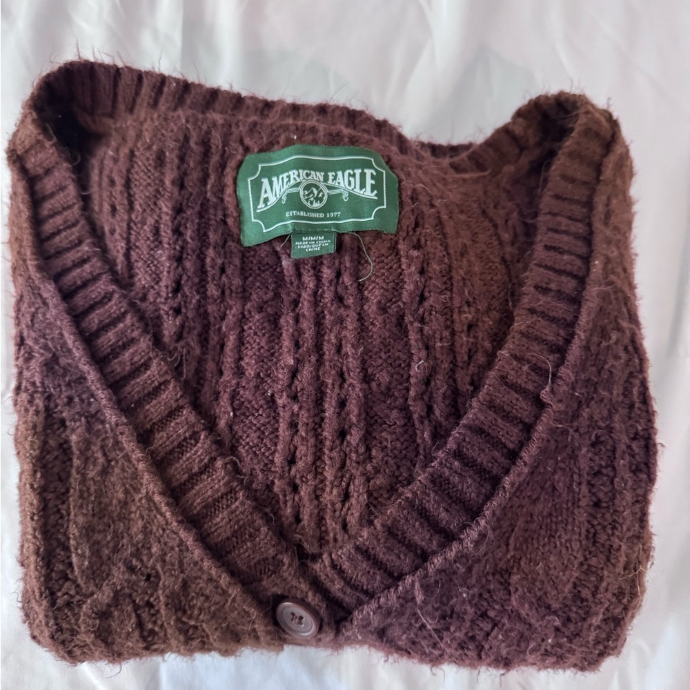 American Eagle Outfitters Rich Brown V-Neck Sweater